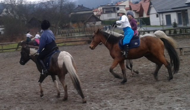 Hubertus 2016